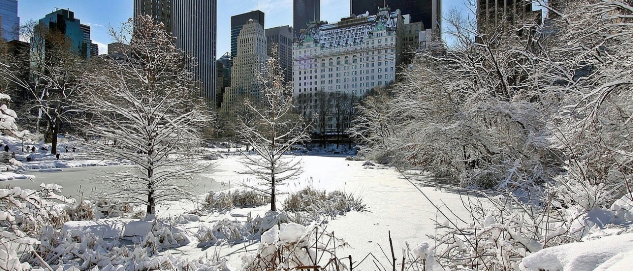 Fun Winter Activities To Do Indoors in NYC