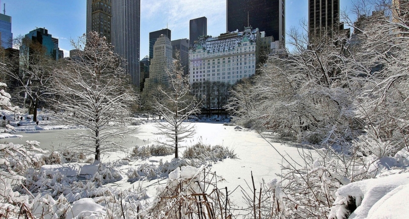 Fun Winter Activities To Do Indoors in NYC